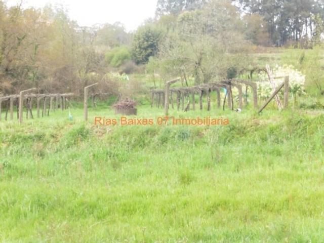 REF 2574 TERRENO 615 m2 RUSTICO CON POZO Y VIÑA MOS photo 0