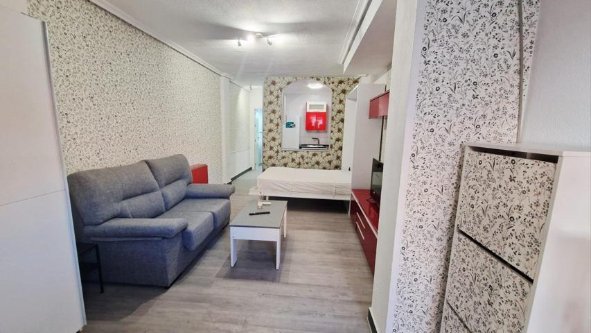 Estudio acondicionado con un dormitorio photo 0