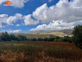 TERRENO APTO PARA CAMIONES, Y ZONA CON VIVIENDAS EN PROYECTO DE TURISMO RURAL EN INGENIO photo 0