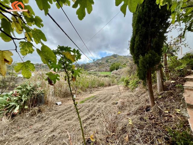 Oportunidad única: Dos viviendas independientes en una finca con encanto photo 0