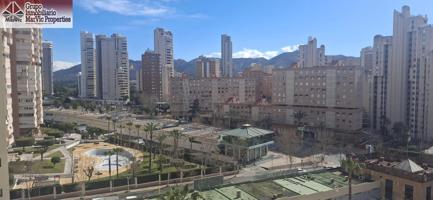 APARTAMENTO MUY SOLEADO EN LOS NUEVOS JUZGADOS photo 0