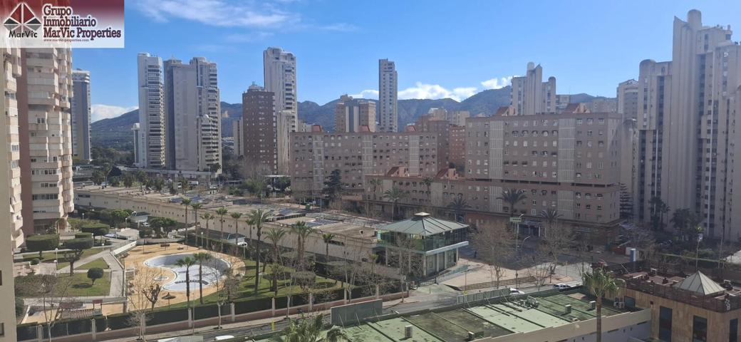 APARTAMENTO MUY SOLEADO EN LOS NUEVOS JUZGADOS photo 0