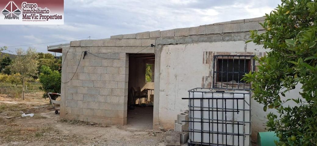 🌿 ¡Oportunidad Única! Terreno en Venta con Árboles Frutales Productivos 🌿 photo 0
