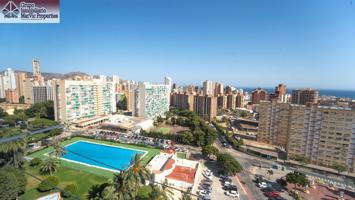 🏡 OPORTUNIDAD EN BENIDORM – ESTUDIO LISTO PARA ENTRAR A VIVIR 🏡 photo 0