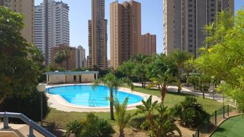 Amplio y Moderno Piso en Benidorm - Nuevos Juzgados photo 0
