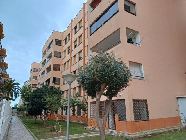 PISO EN LA PINEDA DE 3 HABITACIONES - Piso para reformar a tu gusto photo 0