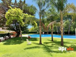 APARTAMENTO EN PASEO JAIME 1 photo 0
