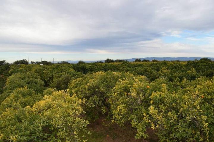 Casa De Campo En venta en Lliria, Lliria photo 0