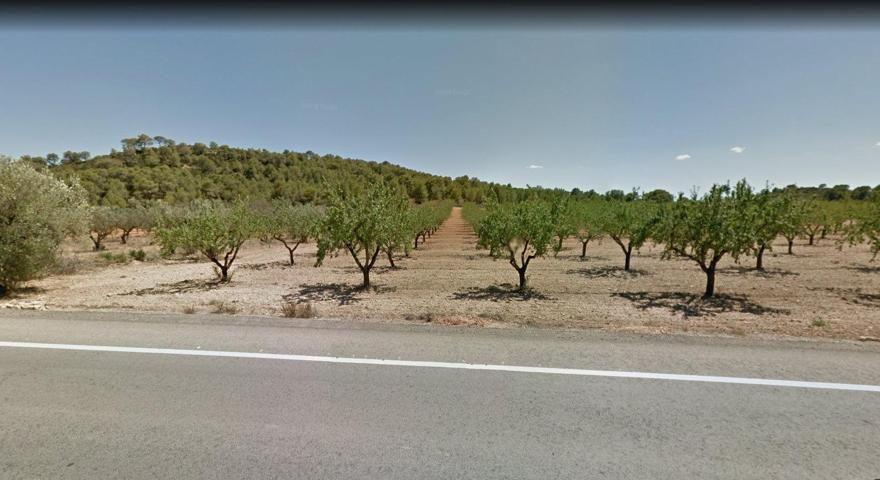 Venta de Finca Rústica en Casinos: Almendros en Producción y Acceso Privilegiado photo 0