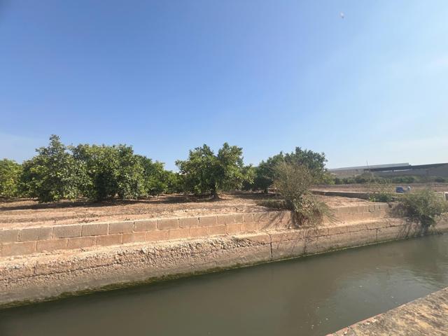 TERRENO CULTIVADO CON NARANJOS - PROXIMO A VALENCIA photo 0