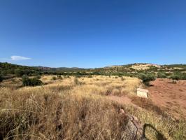 Se vende finca rústica en Olocau – 6.467 m² para cultivo, con acceso asfaltado y agua de riego photo 0