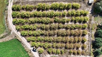 FINCA RUSTICA A UN PASO DE LLIRIA photo 0