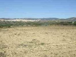 FINCA RUSTICA POSIBILIDAD REGADIO - VILLAR ARZOBISPO photo 0