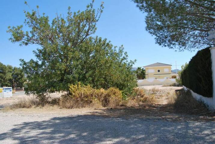 PARCELA URBANA JUNTO PARQUE SAN VICENTE photo 0