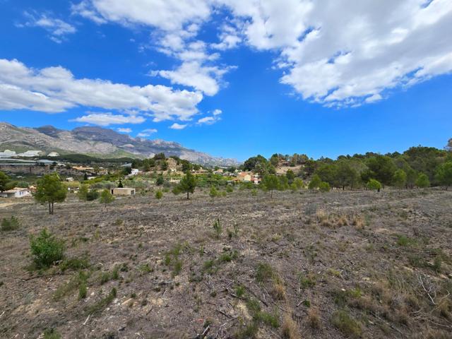 Terreno Urbanizable En venta en La Nucia, La Nucía photo 0