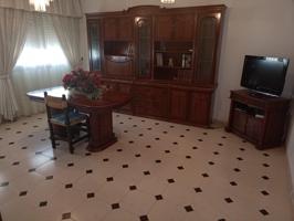 GRAN CASA DUPLEX EN VENTA EN LA CURVA (ADRA) photo 0