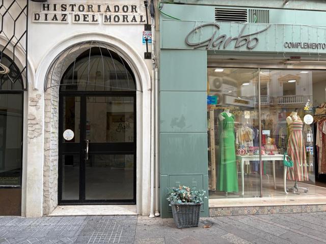 LOCAL COMERCIAL ZONA CENTRO photo 0