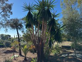 EXQUISITA CASA ADOSADA CON PISCINA PRIVADA EN UN ENTORNO ACOGEDOR, CORDOBA photo 0
