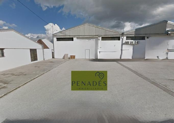 Nave Industrial En alquiler en Poligono El Pla, Ontinyent photo 0