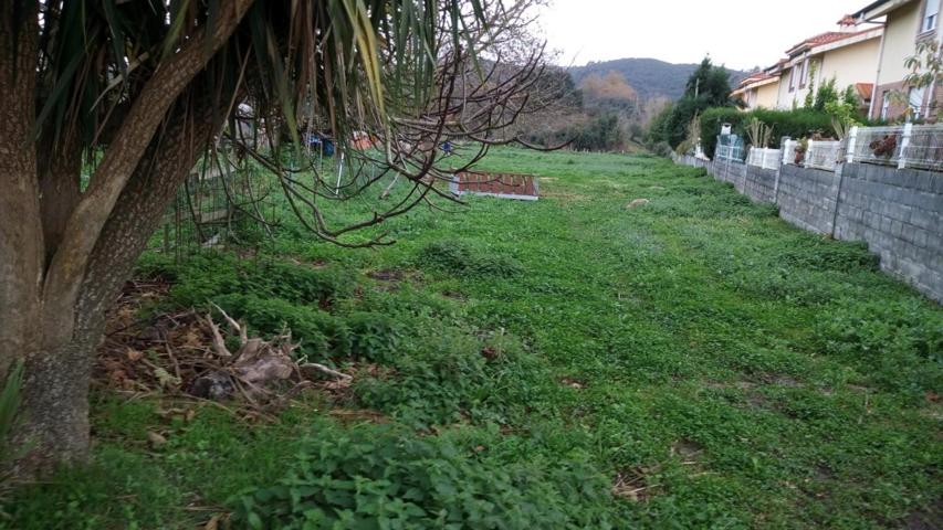 UN BONITO TERRENO EN CASTILLO DONDE EDIFICAR TU FUTURO photo 0