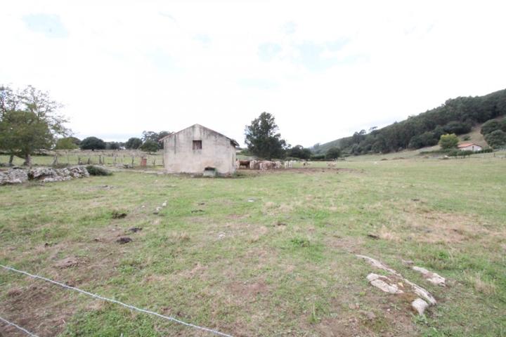 parcela rustica con una construcción de 114m2 photo 0