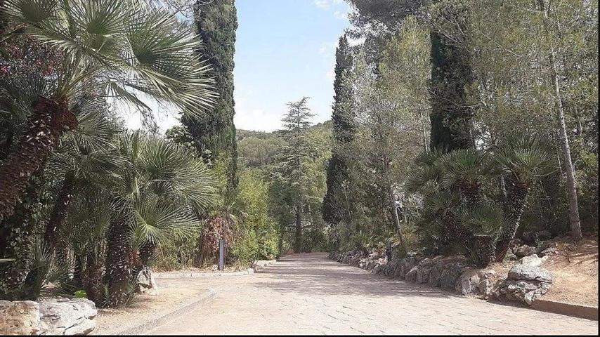 MASIA con permisos para licencia de actividades e HIPICA photo 0