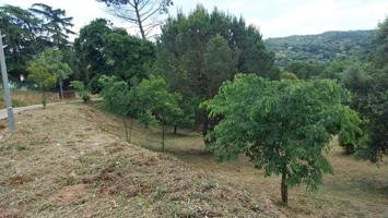 Parcela soleada en venta photo 0