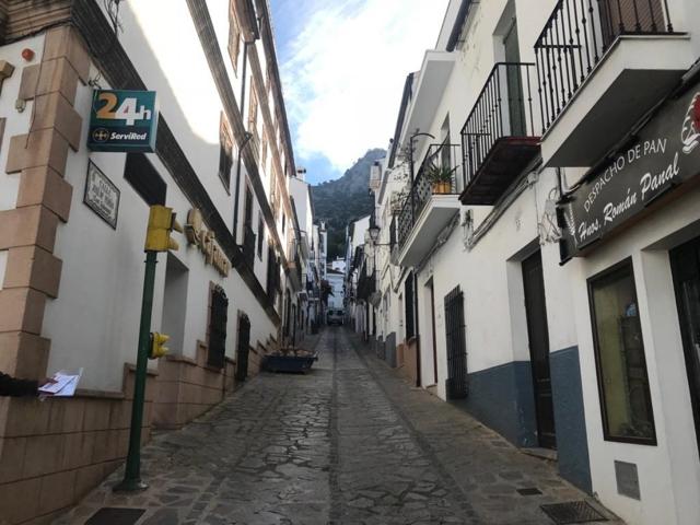 ZONA CENTRO photo 0