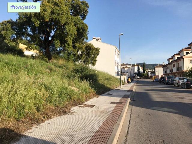 VENTA DE PARCELAS ZONA LA VEGA - UBRIQUE photo 0