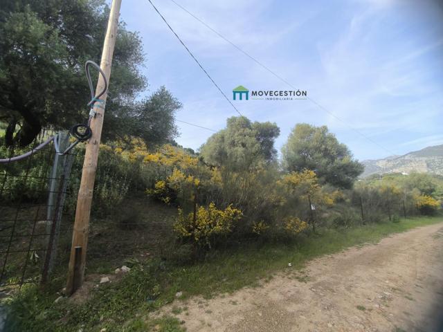 Terreno Urbanizable En venta en El Amarguillo, Ubrique photo 0