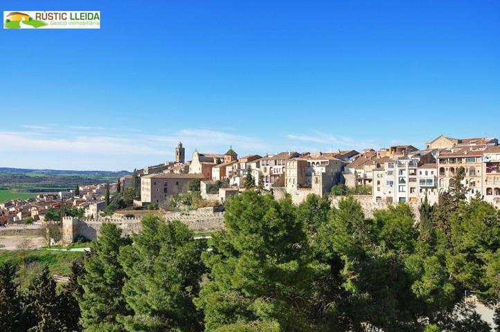 CASA (DE UNOS 300 M2) EN EL MUNICIPIO DE CERVERA. photo 0