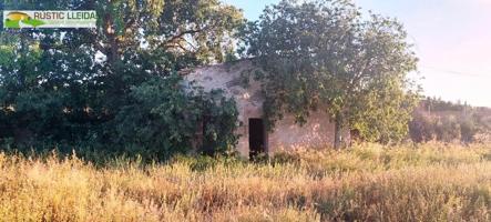 TERRENO (DE UNOS 2.000 M2) CON CABAÑA (DE UNOS 19 M2), EN LOS ALREDEDORES DE ARBECA. photo 0