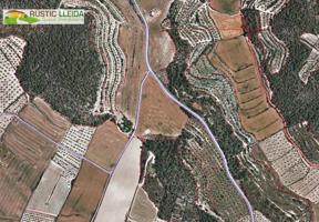 Terreno Urbanizable En venta en L'urgell, Malda photo 0