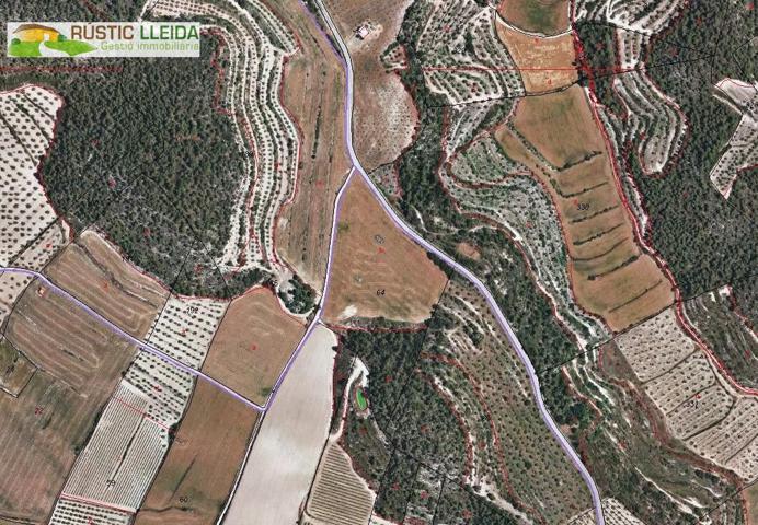 Terreno Urbanizable En venta en L'urgell, Malda photo 0