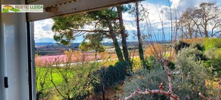 FINCA DE RIEGO (DE UNOS 4.351 M2) CON CABAÑA (DE UNOS 68 M2), EN LOS ALREDEDORES DE PUIGGRÒS. photo 0