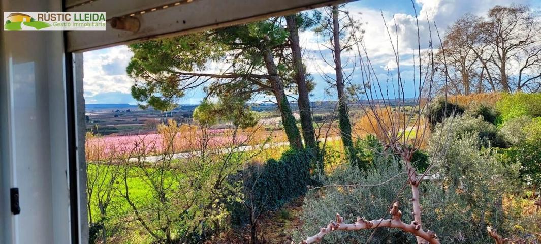 FINCA DE RIEGO (DE UNOS 4.351 M2) CON CABAÑA (DE UNOS 68 M2), EN LOS ALREDEDORES DE PUIGGRÒS. photo 0