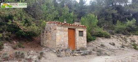 FINCA DE 4 HA. (2 HA. DE CULTIVO Y 2 HA. DE BOSQUE) EN SANTA COLOMA DE QUERALT. photo 0