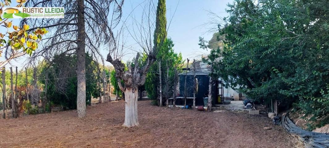 Terreno Urbanizable En venta en Area De Borgues Blanques, Juneda photo 0