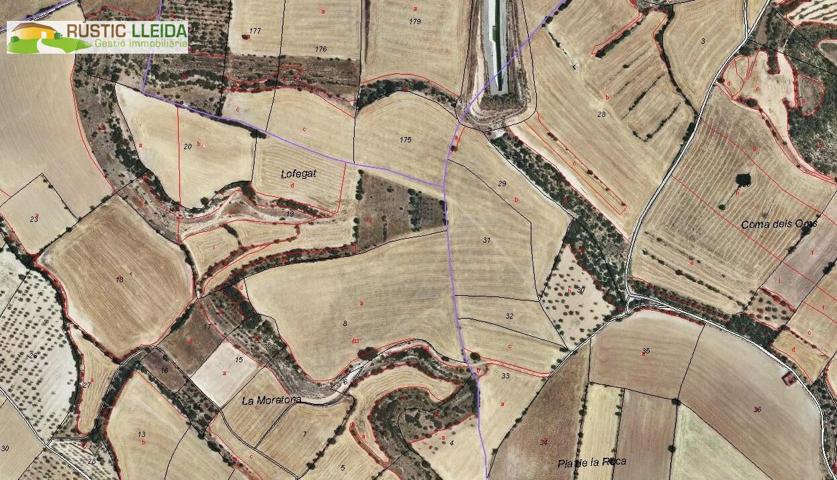 Terreno Urbanizable En venta en Rodalies De Tarrega, Tarrega photo 0