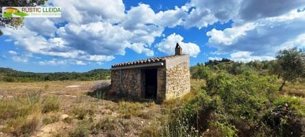 FINCA RÚSTICA (DE UNAS 9,5 HA) CON CABAÑA DE PIEDRA (DE UNOS 20 M2) A 13KM DE LES BORGES BLANQUES. photo 0