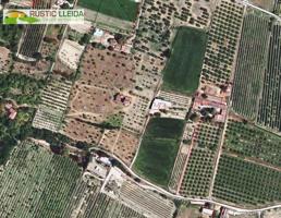 FINCA RÚSTICA (DE UNOS 5.500 M2) CON ALMACÉN (DE UNOS 320 M2) EN LES BORGES BLANQUES. photo 0