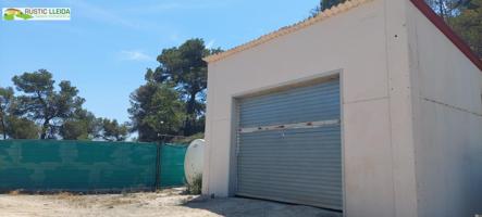 FINCA DE OLIVOS (DE UNOS 111.000 M2) EN LA CONCA DE BARBERÀ. photo 0