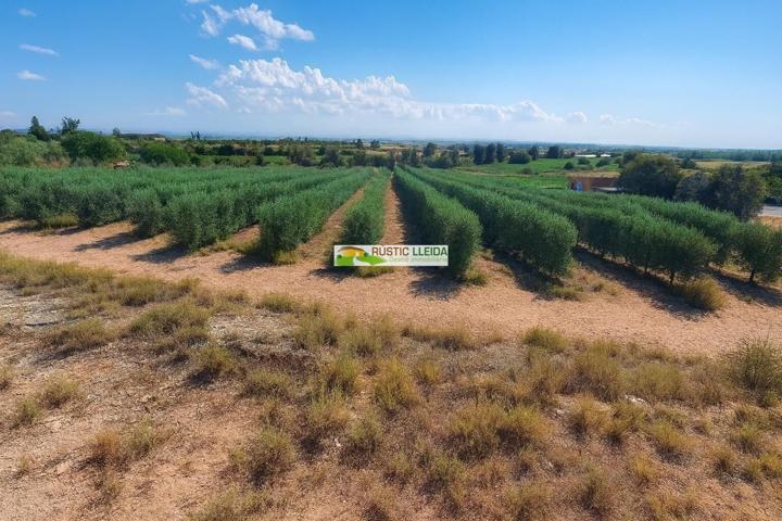 Una inversión con alma y futuro. photo 0