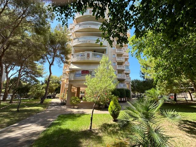 En Pleno Pinar, un oasis privado. photo 0
