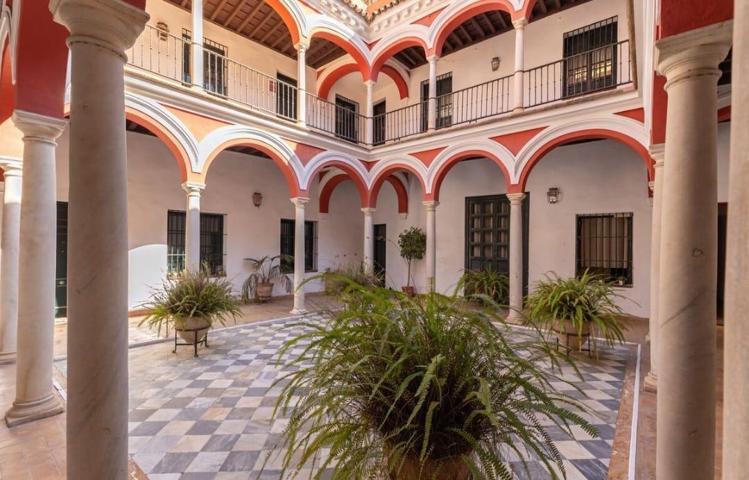 Magnifico apartamento con Licencia Turística cerca de la Plaza del Salvador photo 0