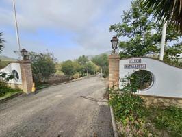 Finca en Olvera photo 0