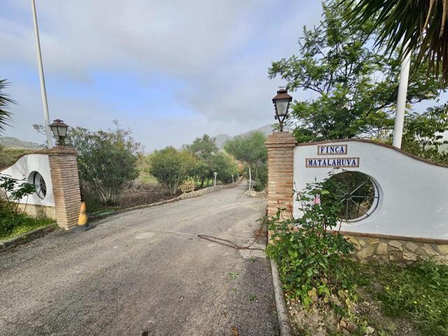 Finca en Olvera photo 0