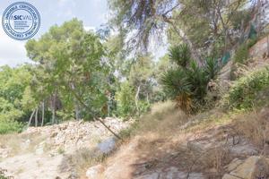 Terreno en Cumbres de Calicanto photo 0