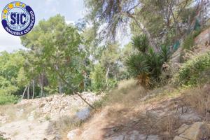 Terreno en Cumbres de Calicanto photo 0