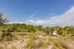 Terreno en venta en Montserrat photo 0